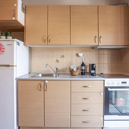 Cute 20m From Apartment Nea Poteidaia